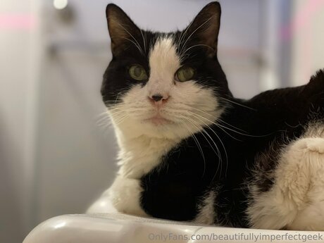 Beautifullyimperfectgeek onlyfans leaked.