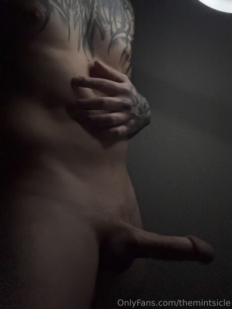 Themintsicle leaks only fans