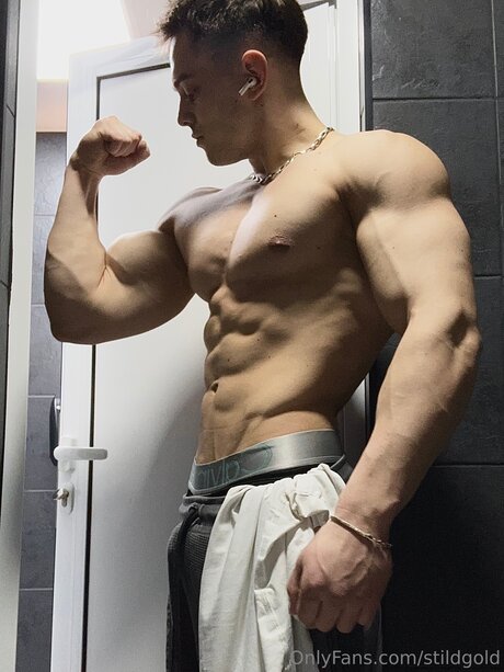 Stildgold onlyfans leaked dirtyship