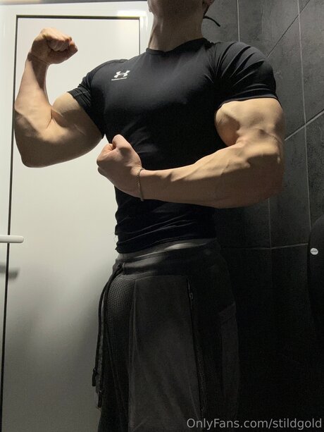 Stildgold leaked only fans