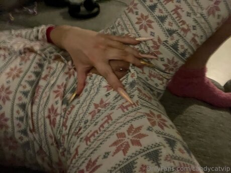 Candycatvip only fans pics