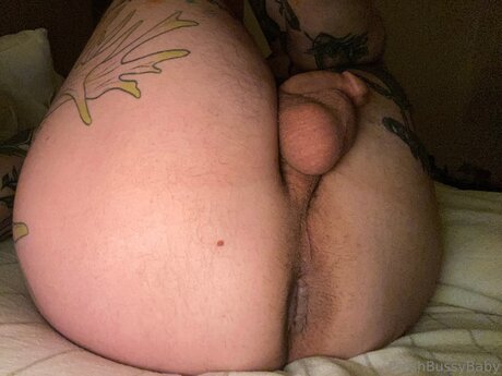 Preshbussybaby onlyfans leak