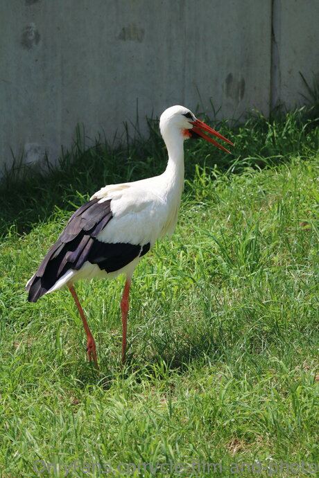 Cle Film And Photo on onlyfans