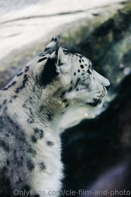 Cle Film And Photo onlyfans leaka