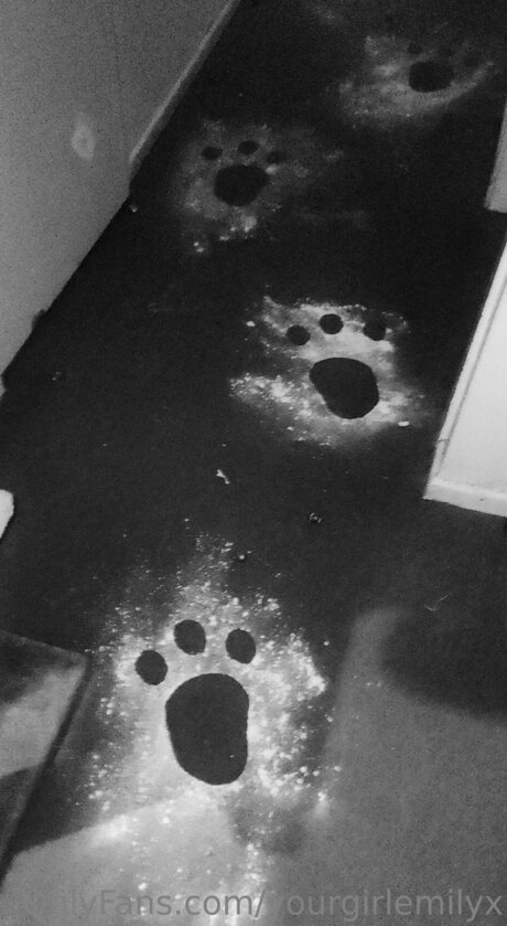 Yourgirlemilyx onlyfans photo