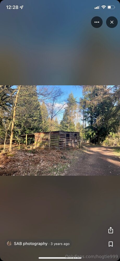 Hogtie999 nudes leaked onlyfans