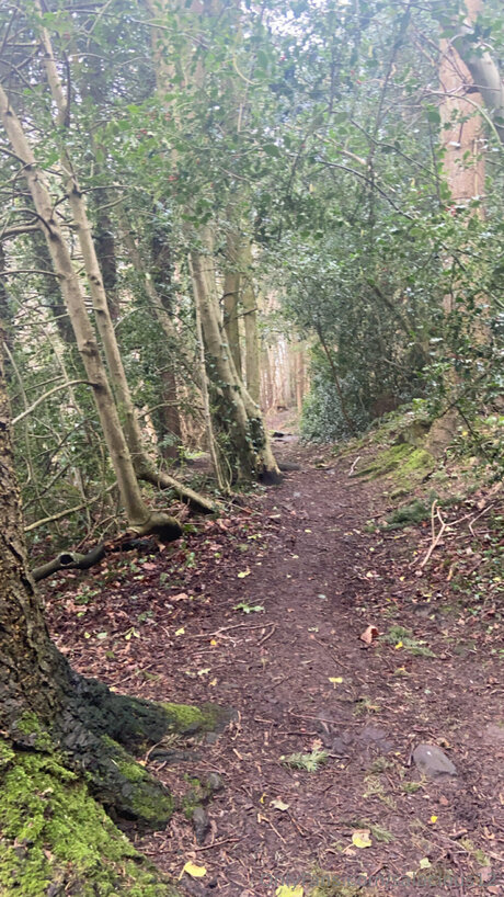 Salacious12 nude on onlyfans