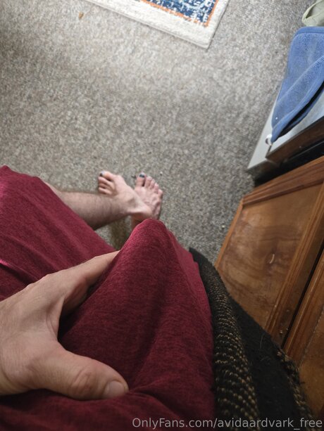 Avidaardvark Free sexy onlyfans