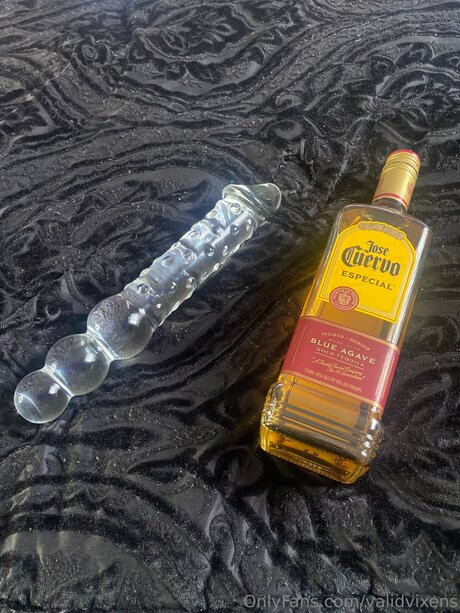 Validvixens onlyfans leaked naked