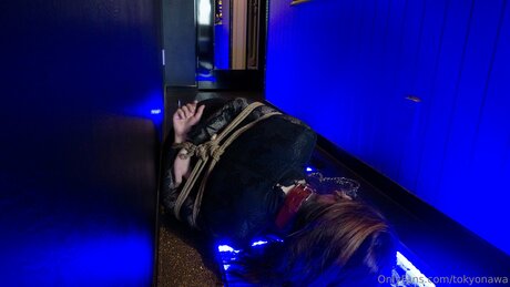 Tokyonawa Profile pic