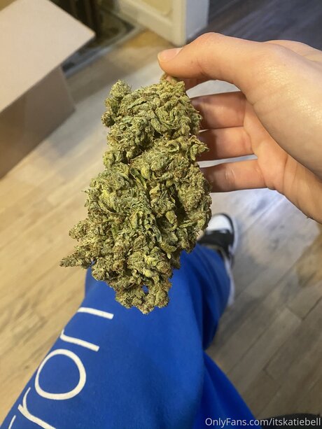 69 blowjob onlyfans free image