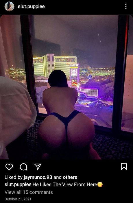 Slut Puppie only fans leak porn