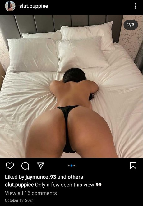 Slut Puppie onlyfans nude leak