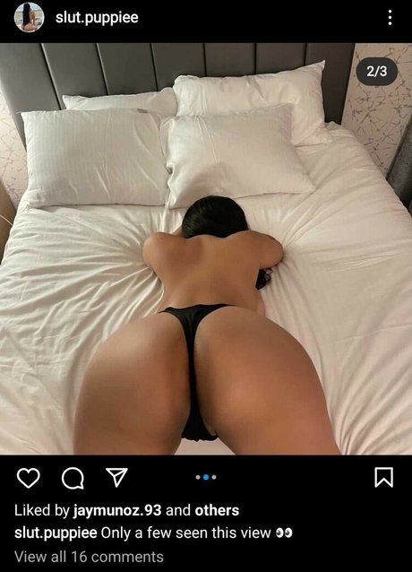 Slut Puppie onlyfans ass