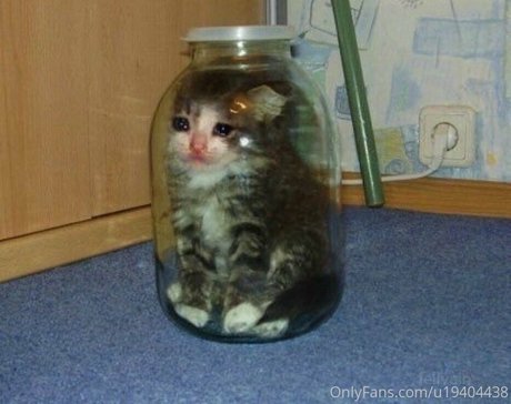 Soraphoria onlyfans nudes