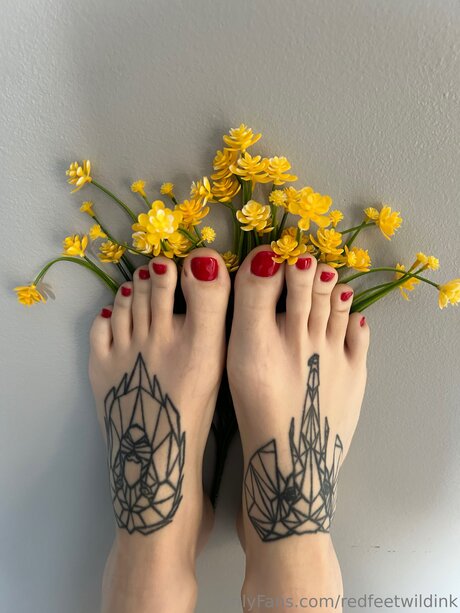 Redfeetwildink onlyfans model photos