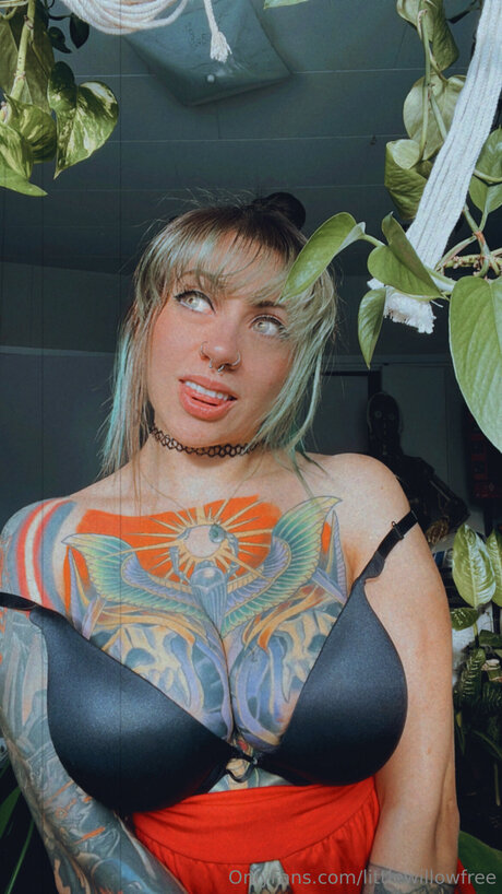 Littlewillowfree Profile pic