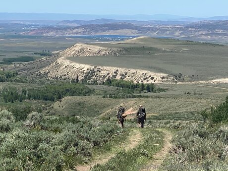 Bulletvalentina onlyfans images