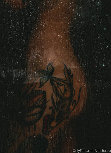 _volchara leak only fans