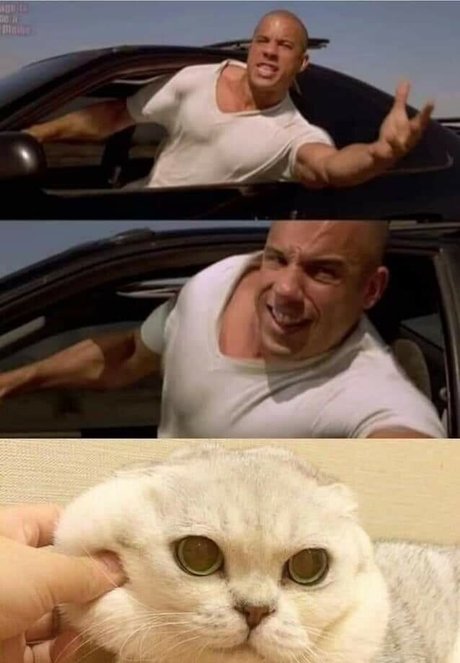 kuroshiika porn onlyfans