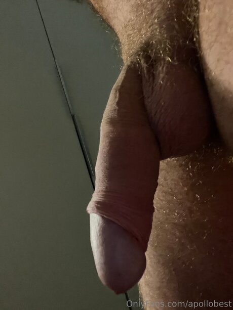 Apollobest free onlyfans