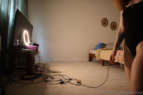 Eeveefrost new onlyfans