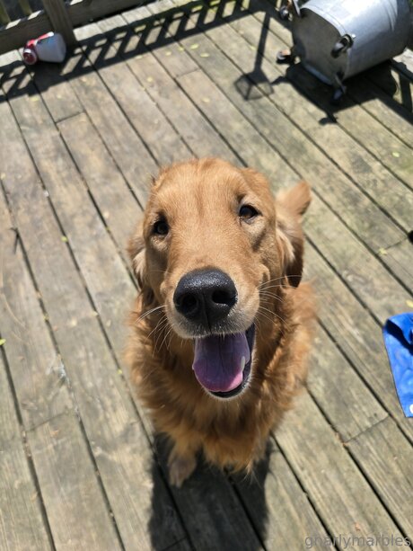 Gnarlymarbles leak only fans