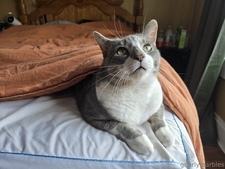 Gnarlymarbles onlyfans leaked naked