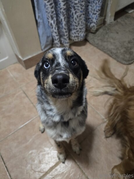 Gnarlymarbles onlyfans ass