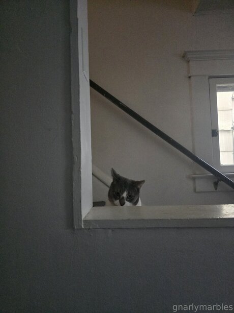 Gnarlymarbles only fans pics