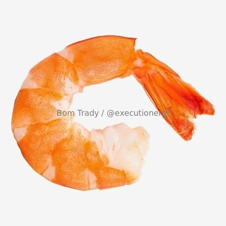 Executionergf onlyfans page