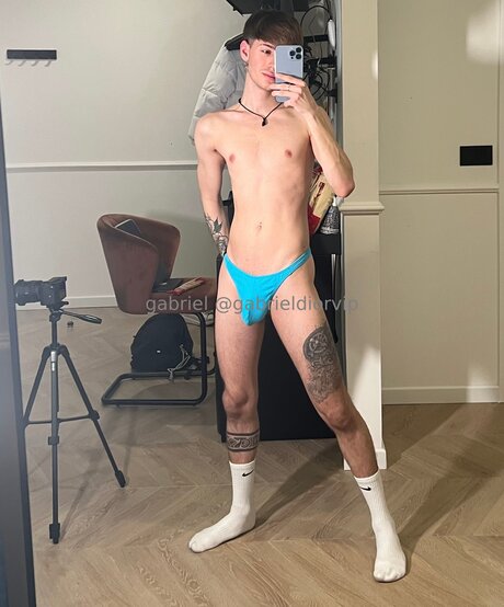 Gabrieldiorvip onlyfans posts