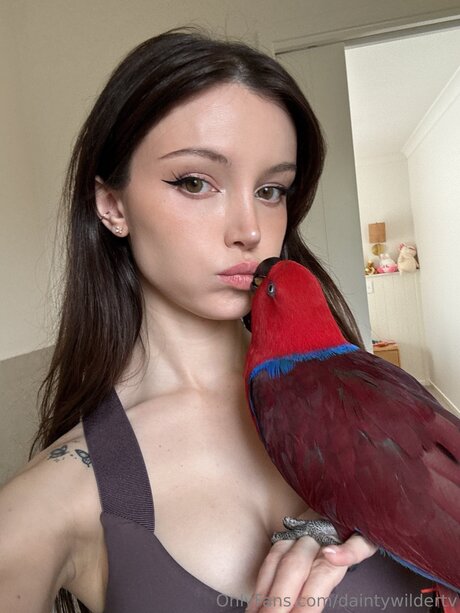 Daintywildertv leaks onlyfans porn