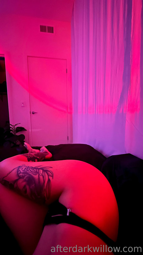 _Lay Willow onlyfans nide