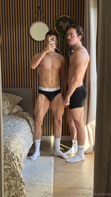 The Occitan Prince onlyfans leaks nude