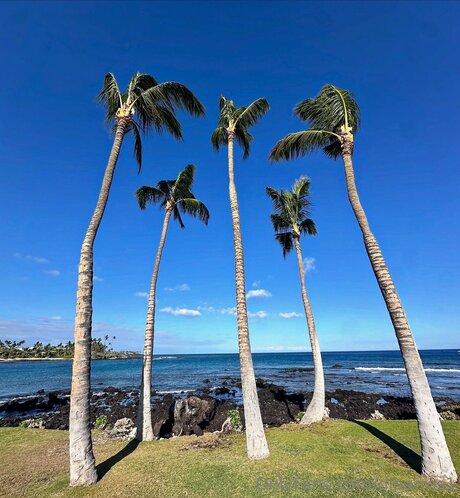 Dibarros1 onlyfans mega