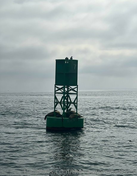 Thesavannaheleven onlyfans leakd