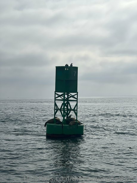 Thesavannaheleven onlyfans leak sex