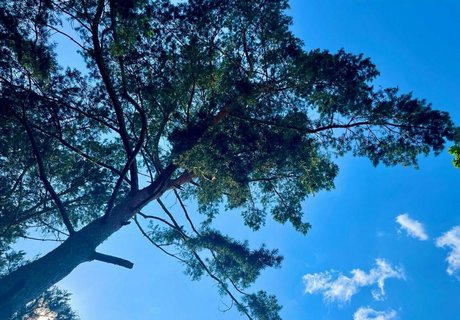 zoenafree onlyfans pic