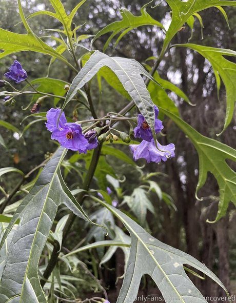 janey uncovered onlyfans archive