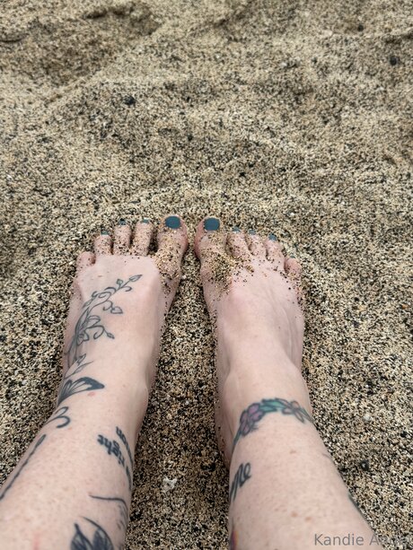 Tattedraiderette onlyfans leaks sex