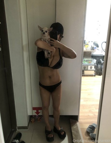 Pchan666 onlyfans leak sex