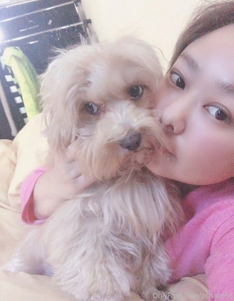 Pchan666 onlyfans nudes