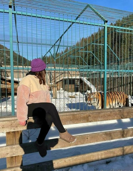 torikitten Profile pic