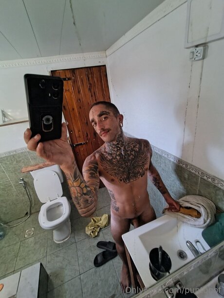 Puntogof Profile pic