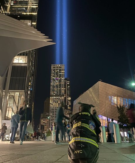 ass onlyfans nude negative