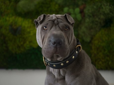 amyanderssen onlyfans leak nudes