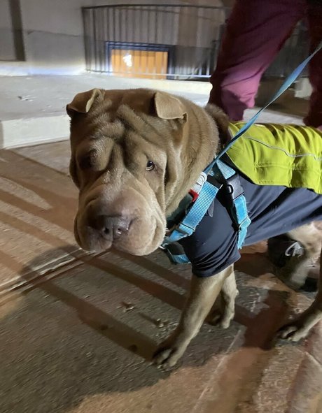 teen ebony onlyfans hot porn images