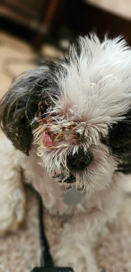 black celebrity onlyfans free sex photo