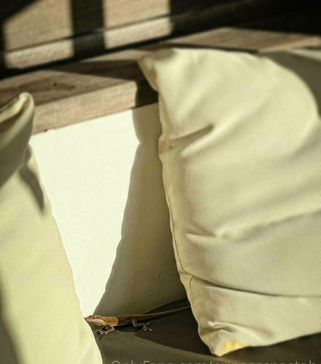 princesspastah Profile pic